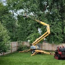 Best Aeration Services  in Friona, TX
